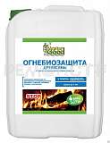 Огнебиозащита Master Good тонированная 5кг 