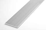 Штанга плоская 40х2мм ШПл 05 1000мм 500 без покрытия